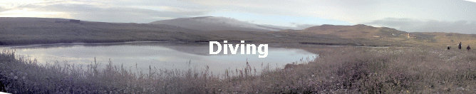 Diving