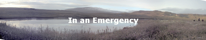 In an Emergency