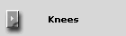 Knees